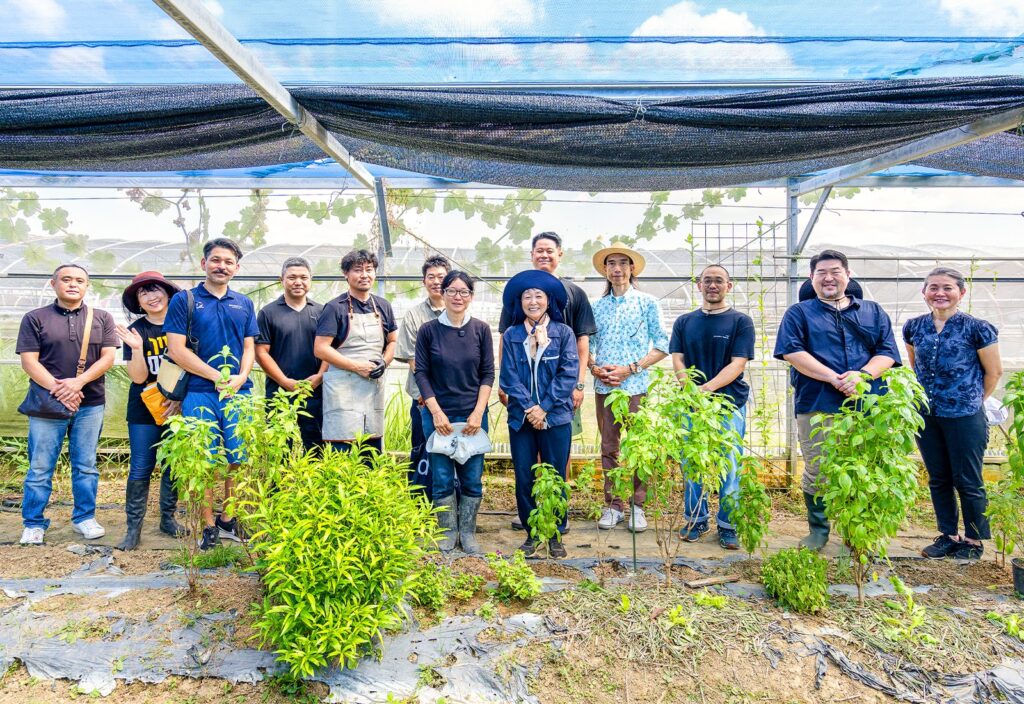【開催レポート】無農薬ハーブ畑訪問と試食体験 ～沖縄産ハーブでもっと価値ある一皿へ～