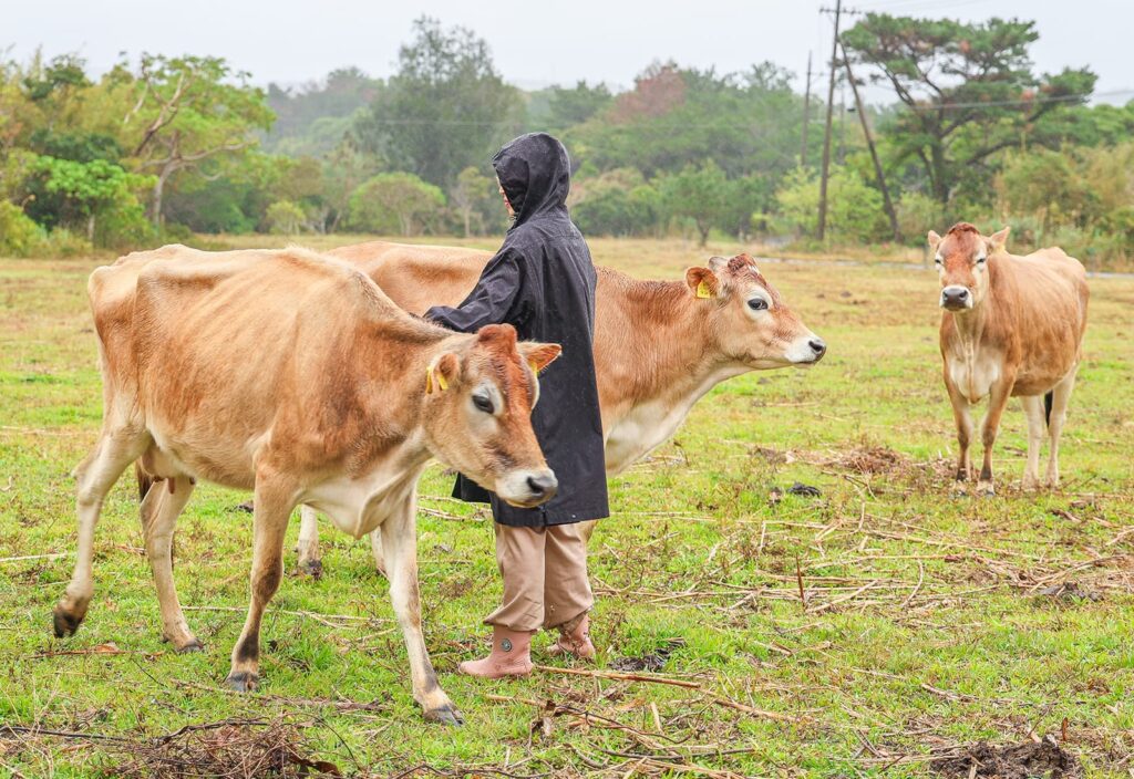 【1泊モニターツアーレポート 後編】知り、感じる食体験～いのちよろこぶ沖縄美食旅